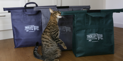 How Trolley Bags Can Change Your Shopping Trips Forever