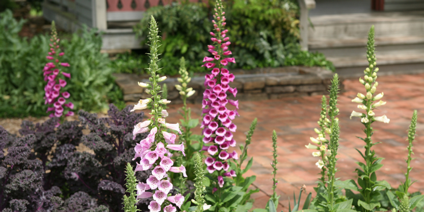 Master your home and garden with these 3 must have tools Master your home and garden with these 3 must have tools