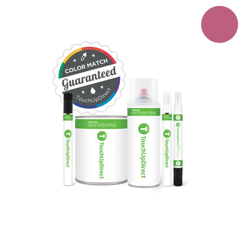 Ford Iris Metallic GR Touch Up Paint