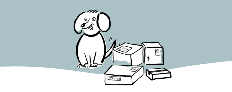 How to Prevent Packages from Being Stolen During Holiday | Touch Up Direct