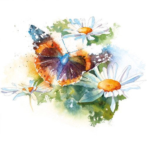 RT84093 - Red Admiral on Daisies (6 bagged blank cards)