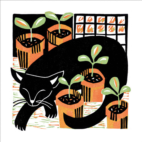 MA86942 - Amongst the Seedlings (6 unbagged blank cards)