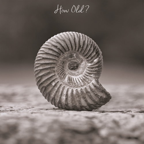SM14267 - How Old? (6 bagged birthday cards)