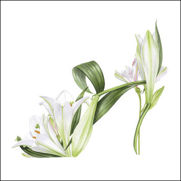 BS77455 - White Shoe (6 unbagged blank cards)