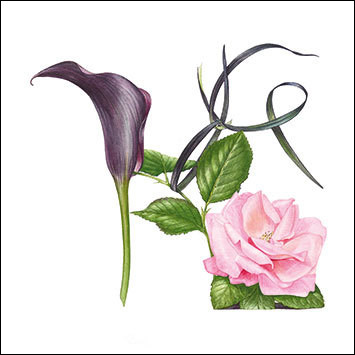 BS77456 - Black and Pink Shoe (6 bagged blank cards)
