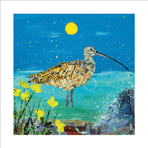 AS96361 - Cornish Curlew (6 bagged blank cards)