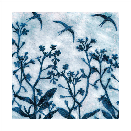 JP97388 - Swifts (6 unbagged blank cards)