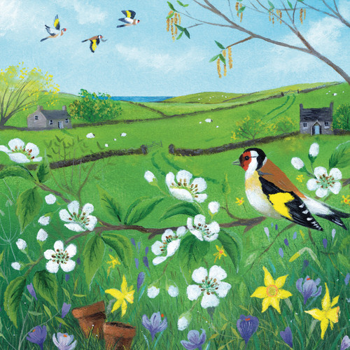 JC98380 - Goldfinch in the Pear Tree (6 bagged blank cards)