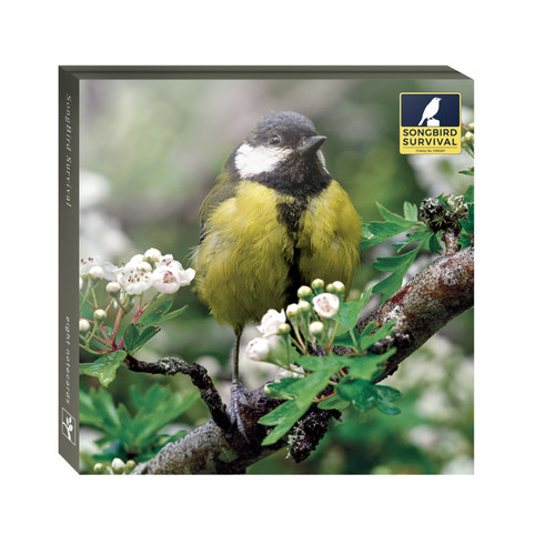 WAL00171 - Songbird Survival (6 wallets)