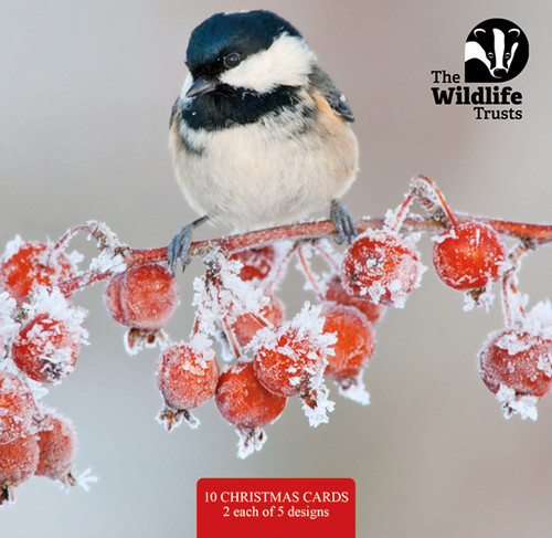 TWT91044 - Wildlife Trust mixed 153mm pack 10pk (TWT, 6 Christmas packs)