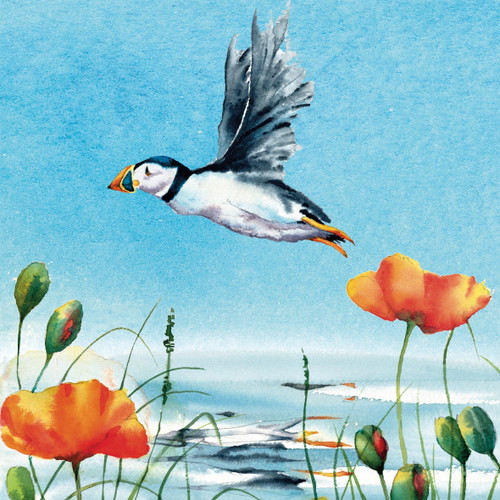 Poppies and Puffins (6 blank cards)