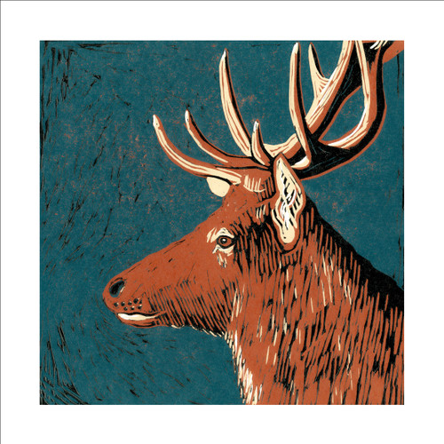 JO59534 - Stag (6 bagged blank cards)