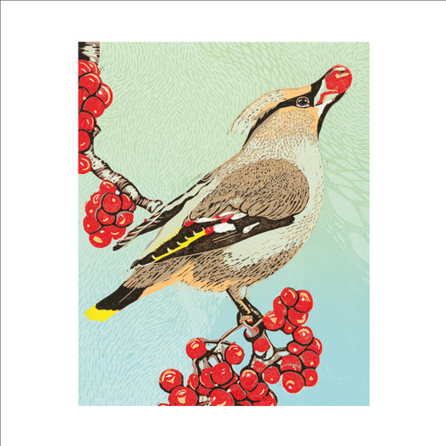 LP99436 - Waxwing & Rowan Berries (6 bagged blank cards)