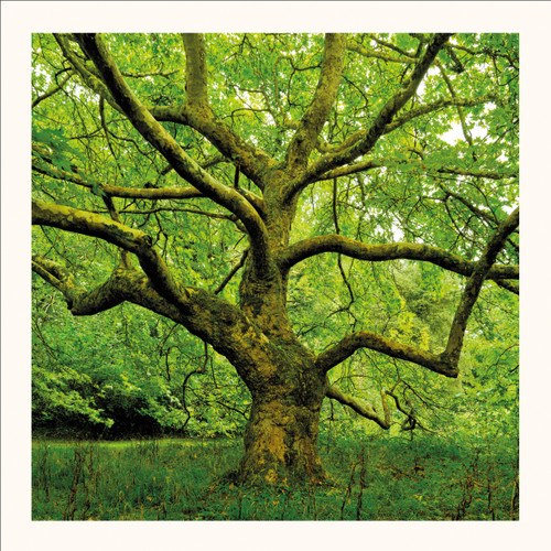 SM25002 - Inner Strength (6 bagged blank cards)
