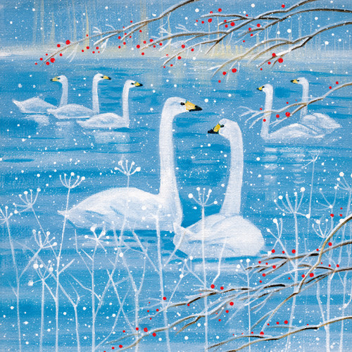 WT91039 - Swans - Denise Coble - 10pk (TWT, 6 Christmas packs)