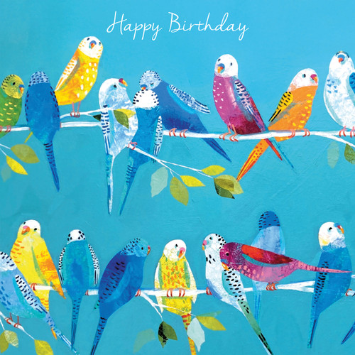 CH33563HB - u - Budge Up! (6 unbagged birthday cards)