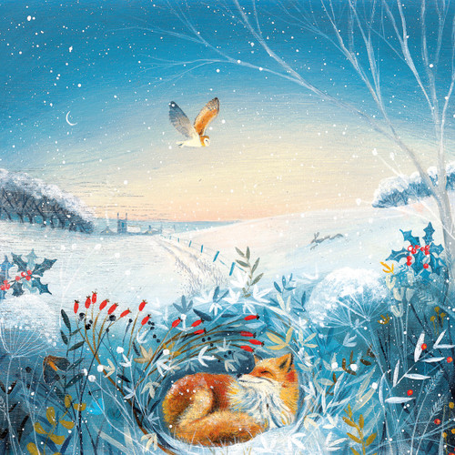JC98629 - The Snow Cub (6 bagged blank cards)
