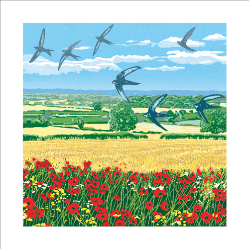 LP99630 - u - Summer Swifts (6 unbagged blank cards)