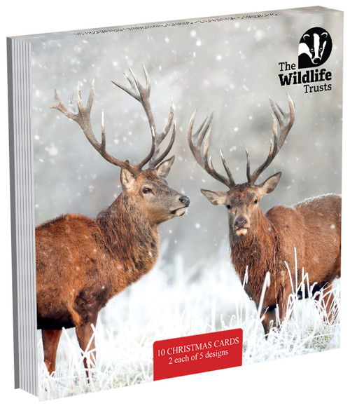TWT91011 - 2026 Wildlife Trust mixed 153mm pack 10pk (TWT, 6 Christmas packs)