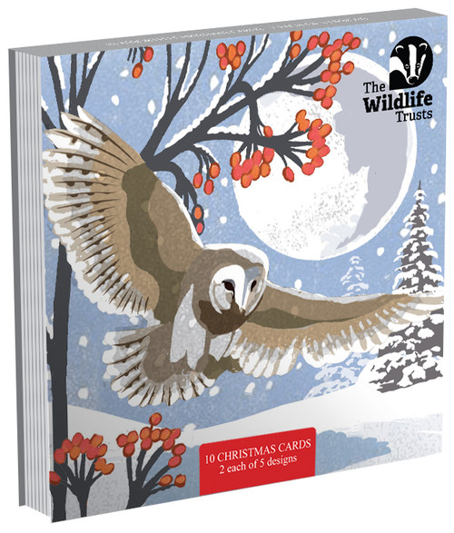 WT91023 - Mixed Art 153mm 2026 MIXED ART pack of 10 cards (6 Christmas card packs)