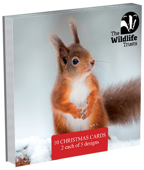 WT91024 - Mixed Photographic 120mm 2026 MIXED pack of 10 cards (6 Christmas card packs)