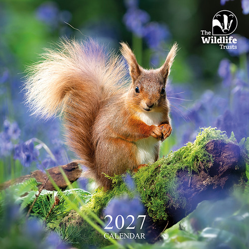 CAL27WT - The Wildlife Trusts 2027 Calendar (6 unbagged calendars)
