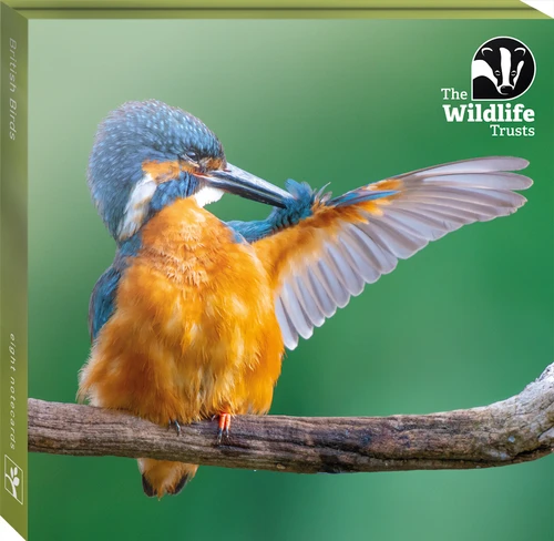 British Birds 2026 (6 wallets)