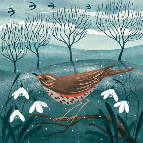 The Wildlife Trusts 153mm Packs (55p donation)