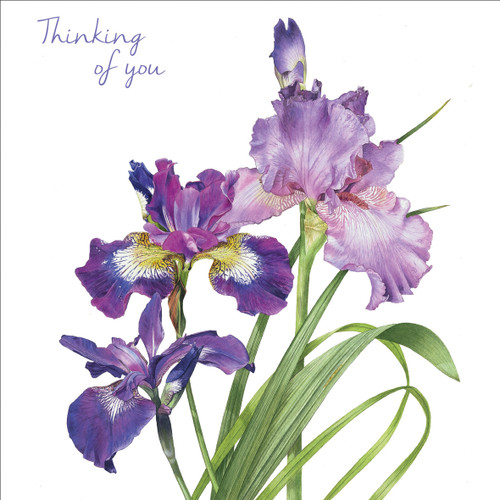 Thinking of You (unbagged)
