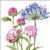 BS77482 - Agapanthus and Peonies (6 unbagged blank cards)