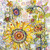 SR85749 - Sunflowers (6 unbagged blank cards)