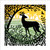 MA86943 - At the Wood's Edge (6 unbagged blank cards)