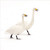 TWT91088 - Whooper Swans 8pk (TWT, 6 Christmas packs)