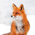 TWT91086 - Red Fox 8pk (TWT, 6 Christmas packs)
