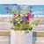 CH33196 - Fresh Flowers at Tatams (6 bagged blank cards)