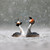 TWT91083 - Great Crested Grebes in Falling Snow 8pk (TWT, 6 Christmas packs) - LIMITED STOCK
