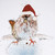 WT91064 - Sparrow (Ralph Steadman) 10pk (TWT, 6 Christmas packs) - LIMITED STOCK