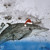 WT91065 - Fin Whale (Ralph Steadman) 10pk (TWT, 6 Christmas packs)