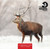 WT91078 - 153mm 2023 MIXED pack of 10 cards (6 Christmas packs) - LIMITED STOCK