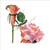 BS77352 - Edith Shoe (6 bagged blank cards)