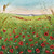 JC98385 - Poppy Meadow (6 bagged blank cards)