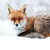 TWT91062 - Resting Fox 8pk (TWT, 6 Christmas packs)