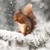 WT91056 - Red Squirrel 10pk (TWT, 6 Christmas packs)