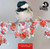 WT91057 - 153mm 2024 MIXED pack of 10 cards (6 Christmas packs)