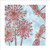 JP97497 - Dragonflies and Seedheads (6 bagged blank cards)