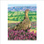 LP99435 - Red Grouse (6 bagged blank cards)