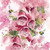 RT84447 - Foxgloves (6 bagged blank cards)