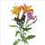 BS77473 - Butterfly and Flowers (6 unbagged blank cards)