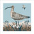 JO59528 - Curlew on guard (6 unbagged blank cards)