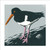 JO59532 - Oystercatcher (6 unbagged blank cards)